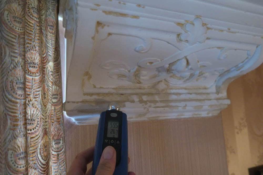 Where to Look for Mould Before Property Purchase