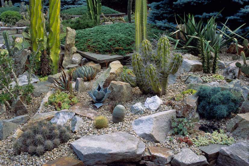 top five benefits of rock gardens