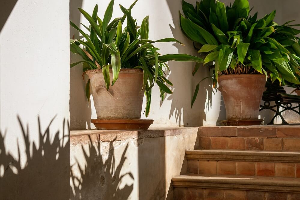 Terracotta Roofing Tiles