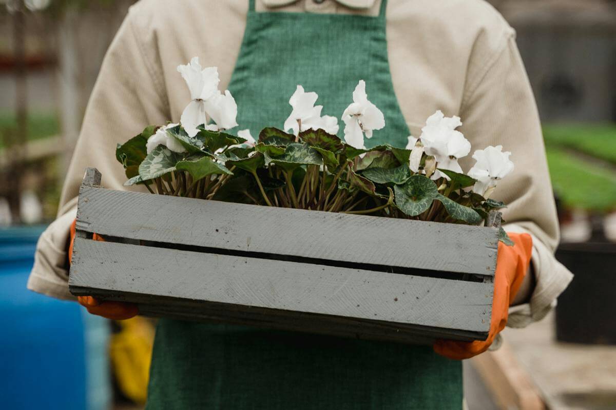 Adding a Tranquil Garden to Your Home - Australian Heritage Homes