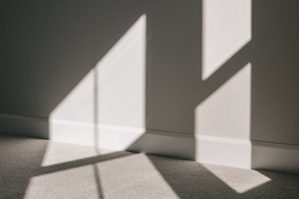 Everything You Need to Know About Carpeting Your Floors